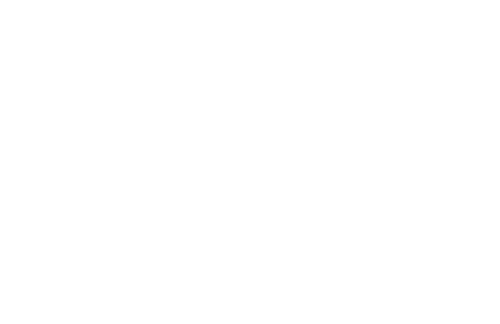 2009_logo_apprico_dasteam_white