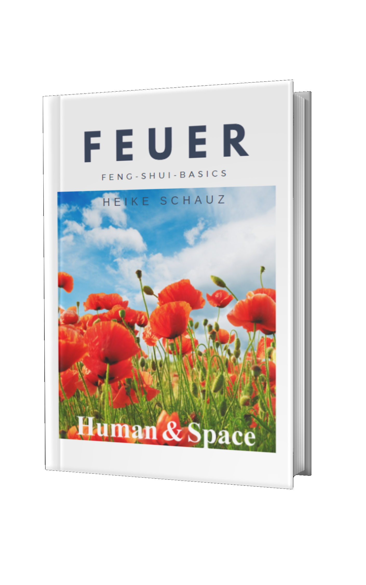 Element-Feuer-Feng-Shui-Basics
