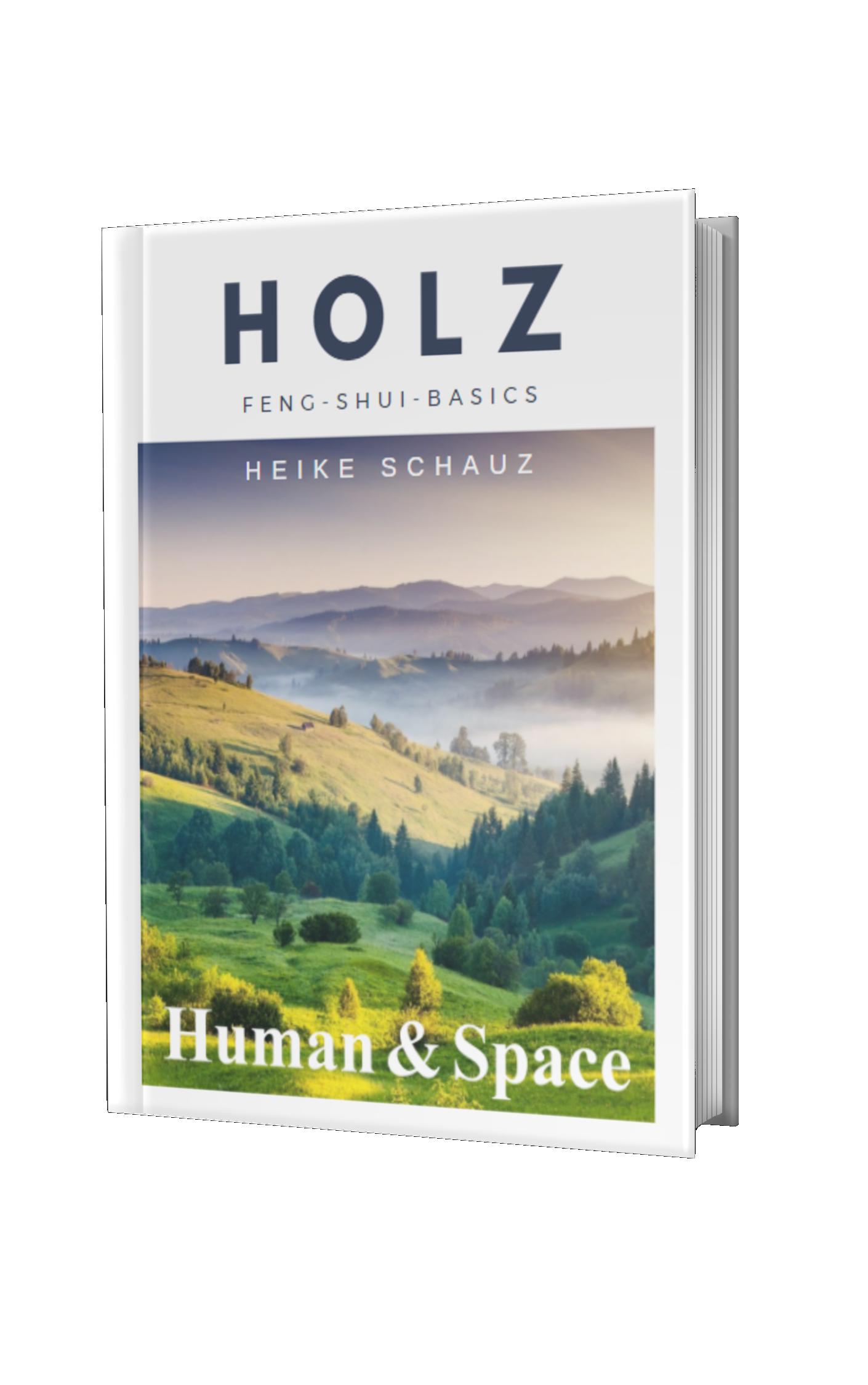 Element-Holz-Feng-Shui-Basics
